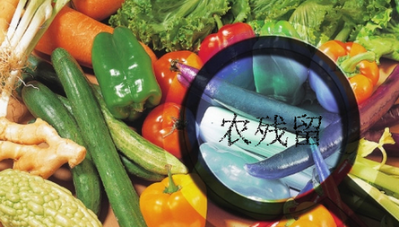農藥殘留檢測儀結果無法上傳是什么原因？農藥殘留檢測儀的故障排除方法